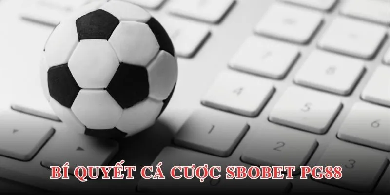 Sbobet PG88 - Nơi Cá Cược Thể Thao Sôi Động An Toàn 2025 4 Bí quyết chiến thắng lớn khi bắt đầu cùng Sbobet cho người mới